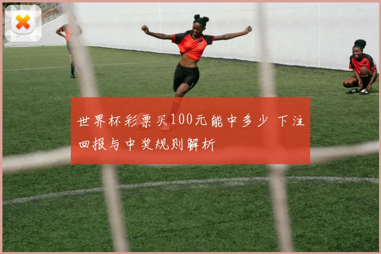 世界杯彩票买100元能中多少 下注回报与中奖规则解析
