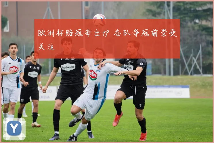 欧洲杯赔冠率出炉 各队争冠前景受关注