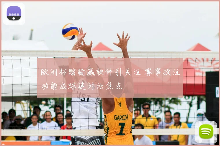 欧洲杯赌输赢软件引关注 赛事投注功能成球迷讨论焦点
